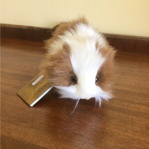 Hansa Guinea Pig